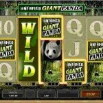 Untamed Giant Panda Pokies Machine